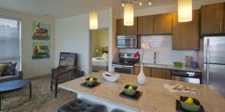 Line 28 at LoHi Apartments Gallery 15