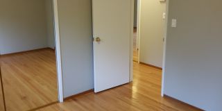 29 Thorndale Place Gallery 27