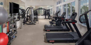 The Carmina Gallery 3