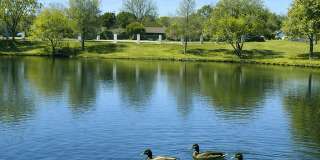 Las Colinas Heights Gallery 8