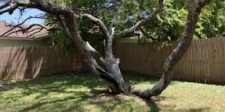 Craddock-222 Gallery 4