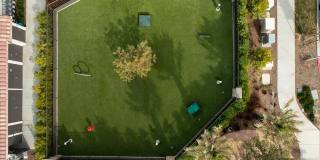 Altura at the Groves Gallery 24