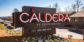 Caldera at Sunnybrook Gallery 19