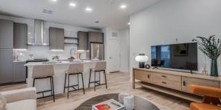 Hazel by the Galleria Gallery 8