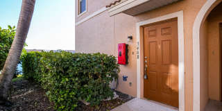 Partridge on University Gallery 1