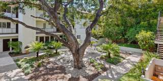 Live the American Riviera Experience! Live the American Riviera Experience! Gallery 23