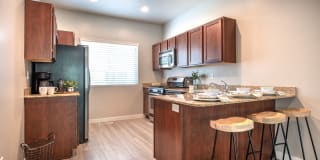 Olympus at The District Gallery 23