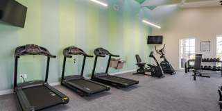 Dream Winter Haven Gallery 17