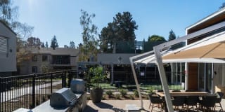 Sharon Green Gallery 25