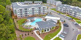 Waterleaf at Salt Creek Gallery 34