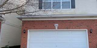 364 GRAPE VINE Trail Gallery 1