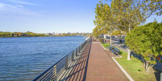 Harbor Pointe Gallery 50