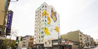 455 Hyde Gallery 14