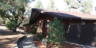 Wooded View Estate in Jacksonville Gallery 4