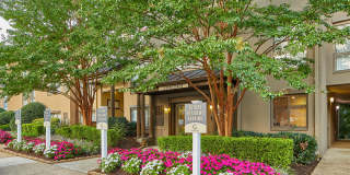 Reston Glade Gallery 29