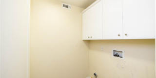 41 Bamboo Gallery 29