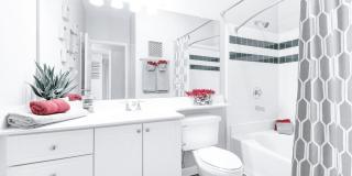 Affordable Housing - Elan at Mallard Creek Apartment Homes Gallery 88