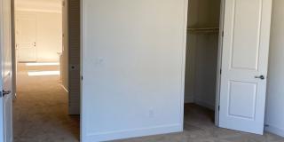 Luxury home in Springlake in Woodland Gallery 7