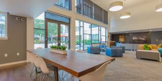 Linden Apartments Gallery 18