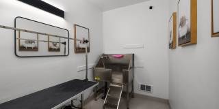 Terra Verde Gallery 6