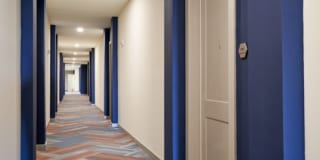 The Lucile Gallery 33