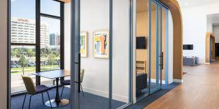 Fellow at Fitz Gallery 12