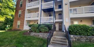 1509 Lincoln Way Apt 204 Gallery 1