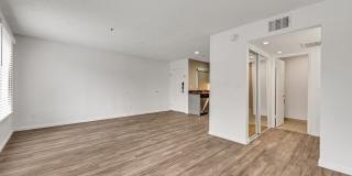 Vivo Living Charlotte Gallery 21