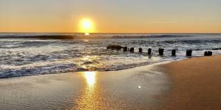 1310 George Street Gallery 28