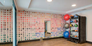 The Grant Gallery 15