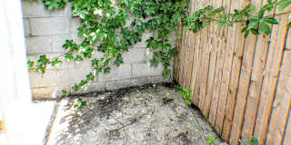 Point Breeze Three Bedroom Home Gallery 5