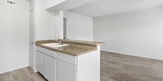 Village South Gallery 13