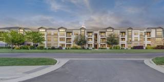 Park Lane Village Gallery 15