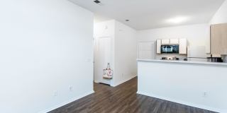 Tesla Park Gallery 55