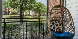 Cortland West Plano Gallery 15