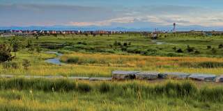 JADE Beeler Park Gallery 52