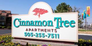 Cinnamon Tree Gallery 1