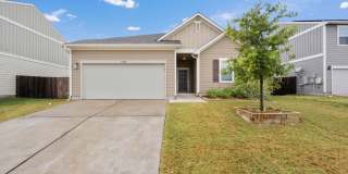13904 Mark Christopher Way, Manor, Texas 78653 Gallery 1