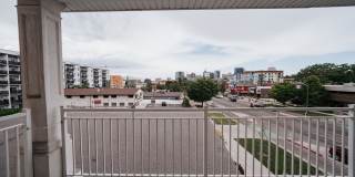 The Mercer Gallery 19