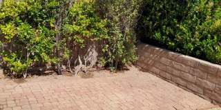 Coming soon 4 Bedroom home in the Berry Gardens Coming soon 4 Bedroom home in the Berry Gardens Gallery 27