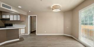 505 Collection Gallery 37