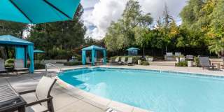 Alta Vista Gallery 21