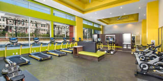 AMLI Buckhead Gallery 13