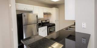 Avery at TownCentre Gallery 165