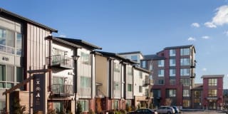 Spencer 68 Gallery 53