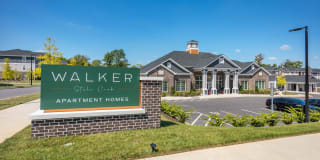 Walker Steele Creek Gallery 6