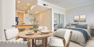 The Orsini Gallery 60