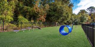 Timber at the Bay Gallery 24