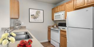 208 ABRAHAM Gallery 1