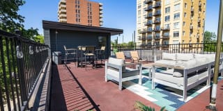 50 Corona Gallery 11